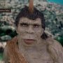 Troglodyte Normal