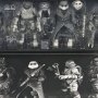 Turtles Black & White 4-PACK