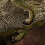 Tyrannosaurus Buck