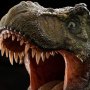 Tyrannosaurus Buck