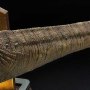 Tyrannosaurus-Rex Final Battle Ultimate
