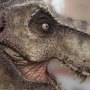 Tyrannosaurus Rex Head