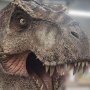 Tyrannosaurus Rex Head