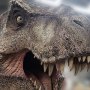 Tyrannosaurus Rex Head