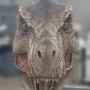 Tyrannosaurus Rex Head