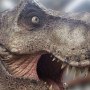 Tyrannosaurus Rex Head
