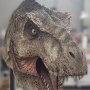 Tyrannosaurus Rex Head