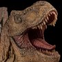 Tyrannosaurus Rex Wall Mounted With Display Stand