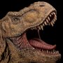 Tyrannosaurus Rex Wall Mounted