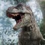 Tyrannosaurus Rex Wonders Of Wild Series