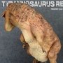 Tyrannosaurus Rex