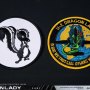 U-2 Dragon Lady Pilot