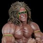 Ultimate Warrior