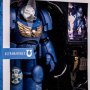Ultramarines Terminator Megafig