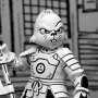 Usagi Yojimbo Samurai Black & White