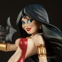 Vampirella Tooned Up (studio)