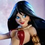 Vampirella Tooned Up (studio)