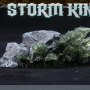 Varian Wrynn (Storm King)