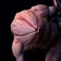 Vecna
