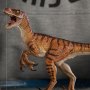 Velociraptor