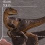 Velociraptor