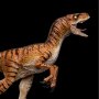 Velociraptor