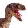 Velociraptor