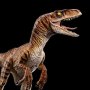 Velociraptor