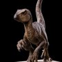 Jurassic Park: Velociraptor B Icons