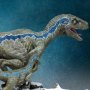 Velociraptor Blue & Beta
