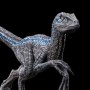Velociraptor Blue Icons
