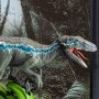 Jurassic Park: Velociraptor Blue Raptor Recon Toyllectible Treasures