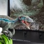 Velociraptor Blue Raptor Recon Toyllectible Treasures
