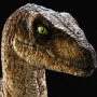 Velociraptor Closed Mouth