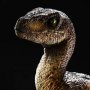 Velociraptor Closed Mouth