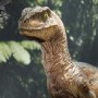 Velociraptor Closed Mouth