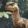 Velociraptor Closed Mouth (Prime 1 Studio)