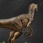 Velociraptor Closed Mouth (Prime 1 Studio)