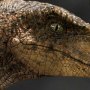Velociraptor Closed Mouth