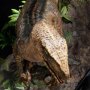 Velociraptor Closed Mouth