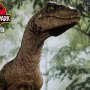 Velociraptor Closed Mouth (Prime 1 Studio)
