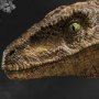 Velociraptor Closed Mouth (Prime 1 Studio)