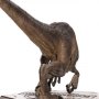Velociraptor Crouching