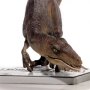 Velociraptor Crouching