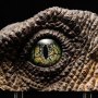 Velociraptor Eye Screen-Used SWS