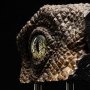 Jurassic Park: Velociraptor Eye Screen-Used SWS