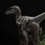 Velociraptor Female