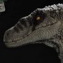 Velociraptor Female