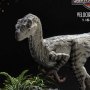 Jurassic Park 3: Velociraptor Female