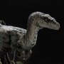 Velociraptor Female